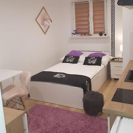 Apartamenty Centrum Panoramiczna Mala Dwojka Swan Labedz Promenada Klimatyzacja Lodowa Kielce Bagian luar foto