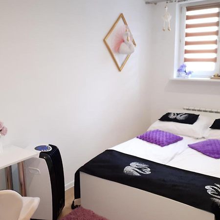 Apartamenty Centrum Panoramiczna Mala Dwojka Swan Labedz Promenada Klimatyzacja Lodowa Kielce Bagian luar foto