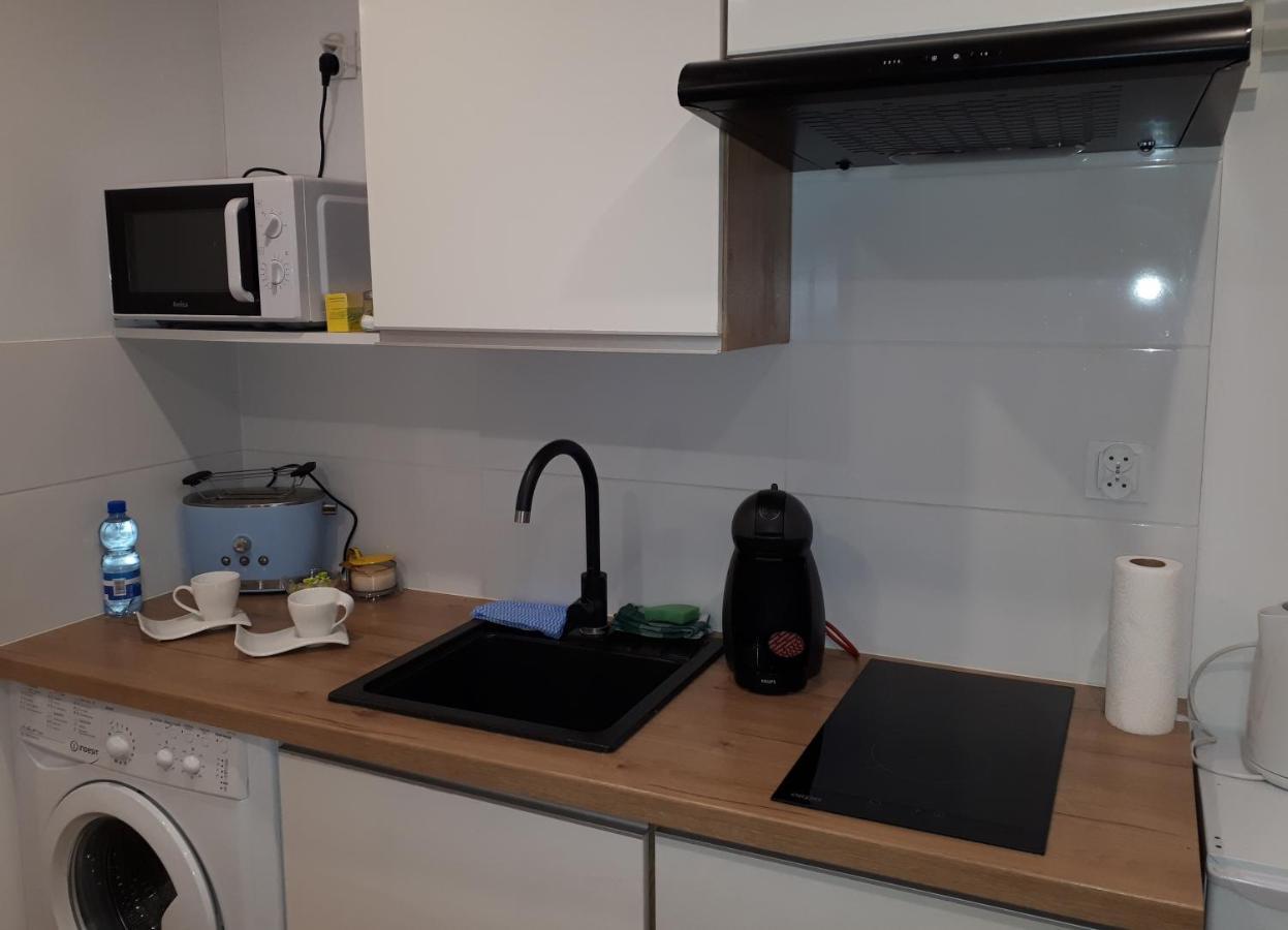 Apartamenty Centrum Panoramiczna Mala Dwojka Swan Labedz Promenada Klimatyzacja Lodowa Kielce Bagian luar foto