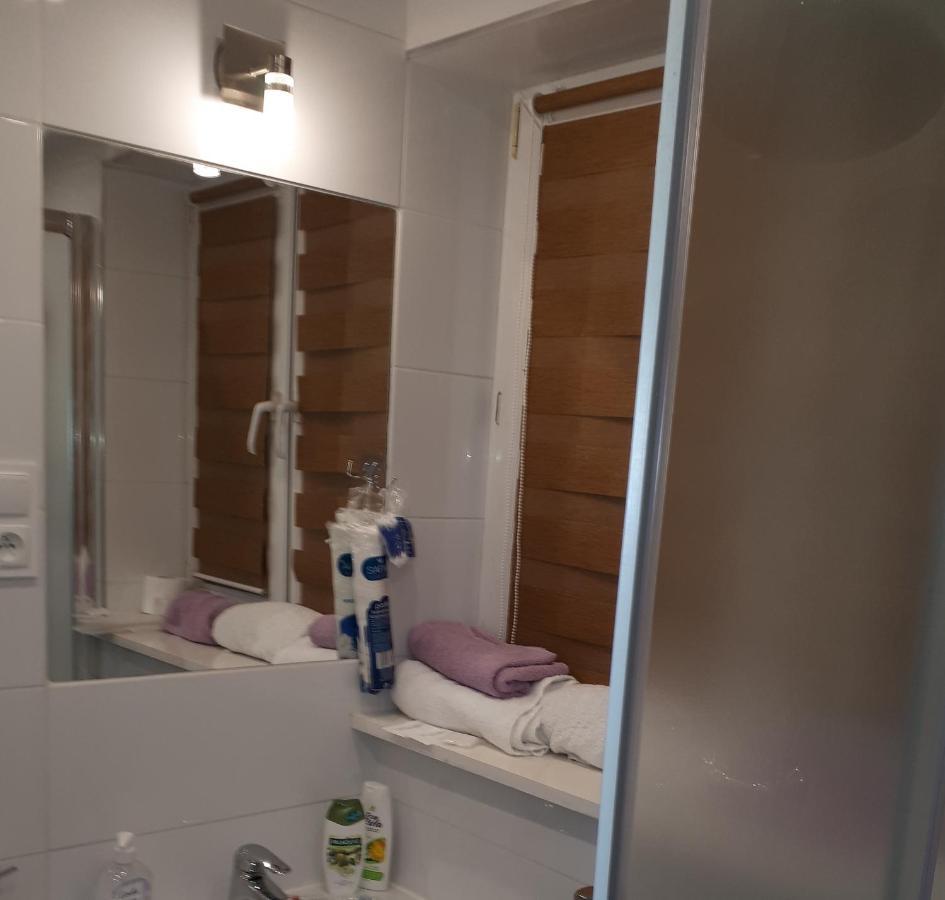 Apartamenty Centrum Panoramiczna Mala Dwojka Swan Labedz Promenada Klimatyzacja Lodowa Kielce Bagian luar foto