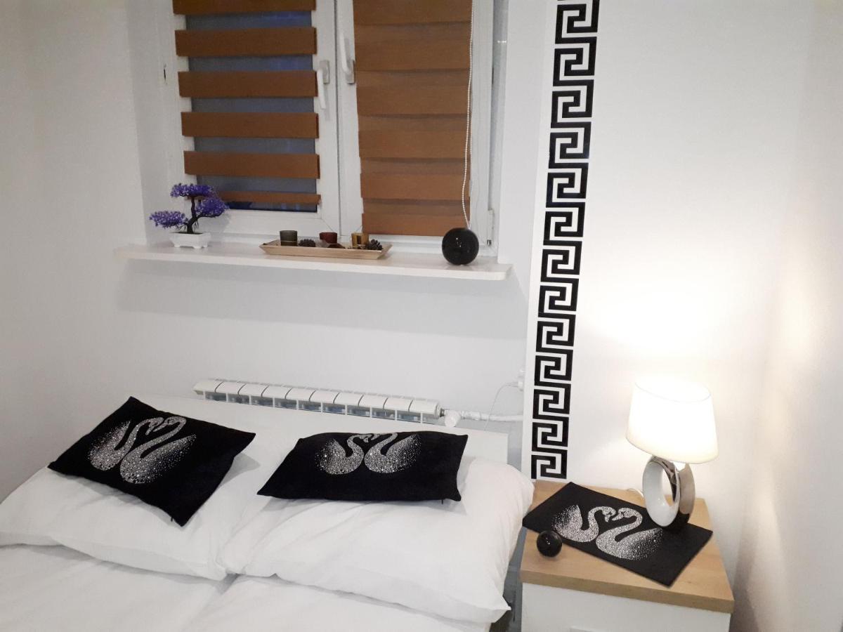 Apartamenty Centrum Panoramiczna Mala Dwojka Swan Labedz Promenada Klimatyzacja Lodowa Kielce Bagian luar foto