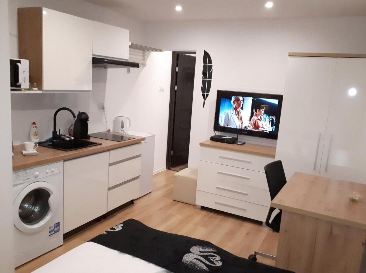 Apartamenty Centrum Panoramiczna Mala Dwojka Swan Labedz Promenada Klimatyzacja Lodowa Kielce Bagian luar foto