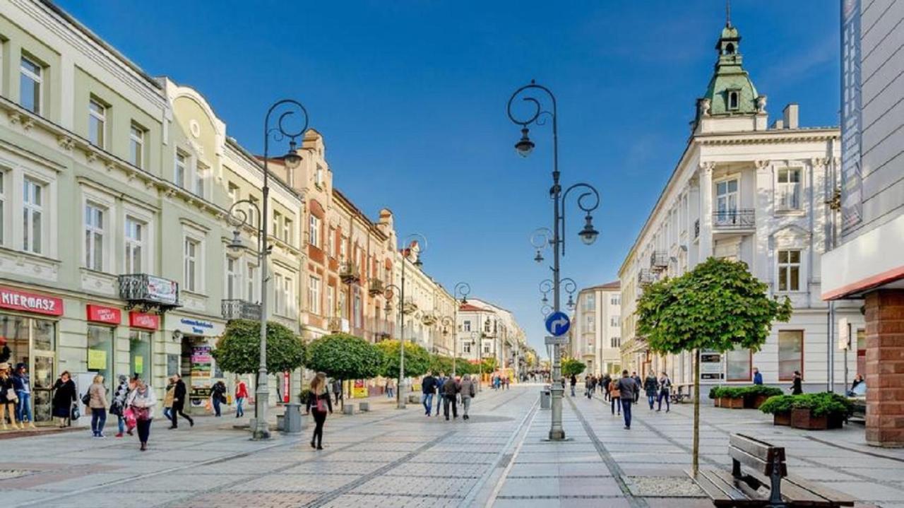 Apartamenty Centrum Panoramiczna Mala Dwojka Swan Labedz Promenada Klimatyzacja Lodowa Kielce Bagian luar foto