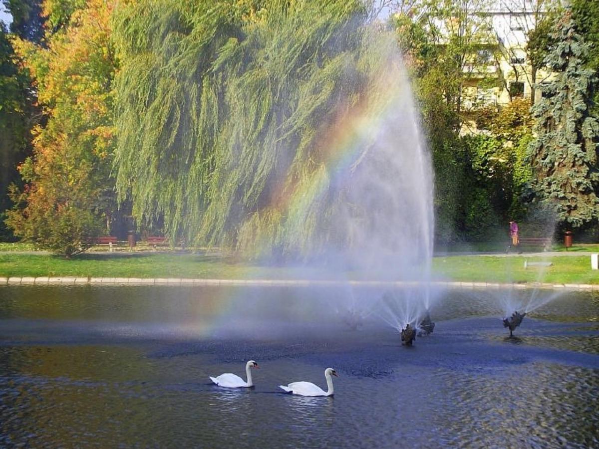 Apartamenty Centrum Panoramiczna Mala Dwojka Swan Labedz Promenada Klimatyzacja Lodowa Kielce Bagian luar foto