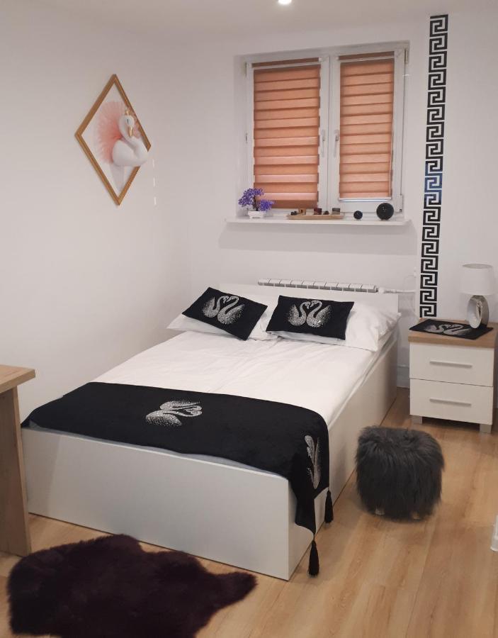 Apartamenty Centrum Panoramiczna Mala Dwojka Swan Labedz Promenada Klimatyzacja Lodowa Kielce Bagian luar foto
