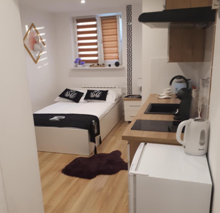 Apartamenty Centrum Panoramiczna Mala Dwojka Swan Labedz Promenada Klimatyzacja Lodowa Kielce Bagian luar foto
