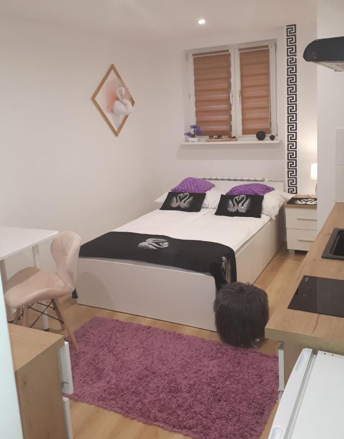 Apartamenty Centrum Panoramiczna Mala Dwojka Swan Labedz Promenada Klimatyzacja Lodowa Kielce Bagian luar foto