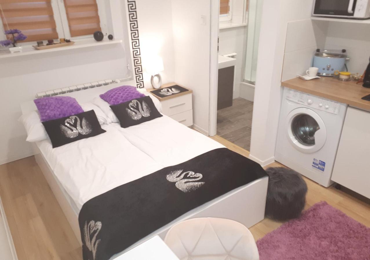 Apartamenty Centrum Panoramiczna Mala Dwojka Swan Labedz Promenada Klimatyzacja Lodowa Kielce Bagian luar foto