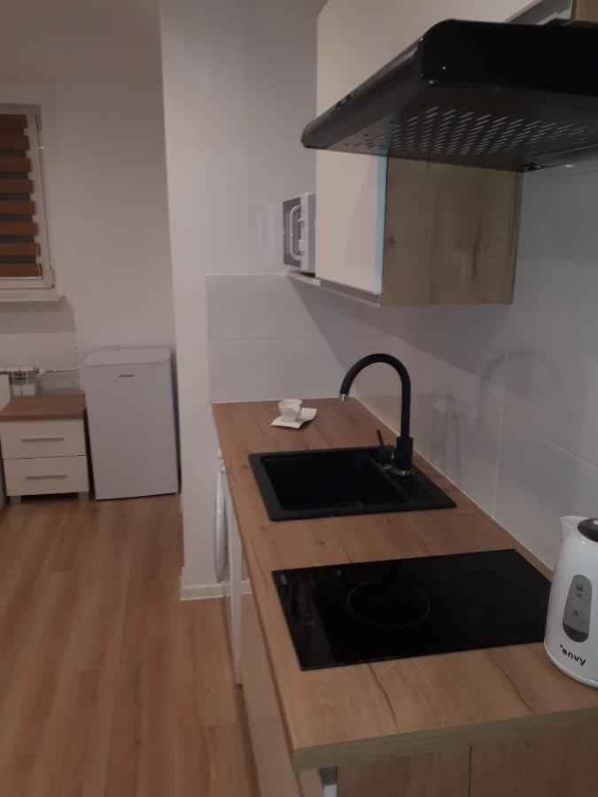Apartamenty Centrum Panoramiczna Mala Dwojka Swan Labedz Promenada Klimatyzacja Lodowa Kielce Bagian luar foto